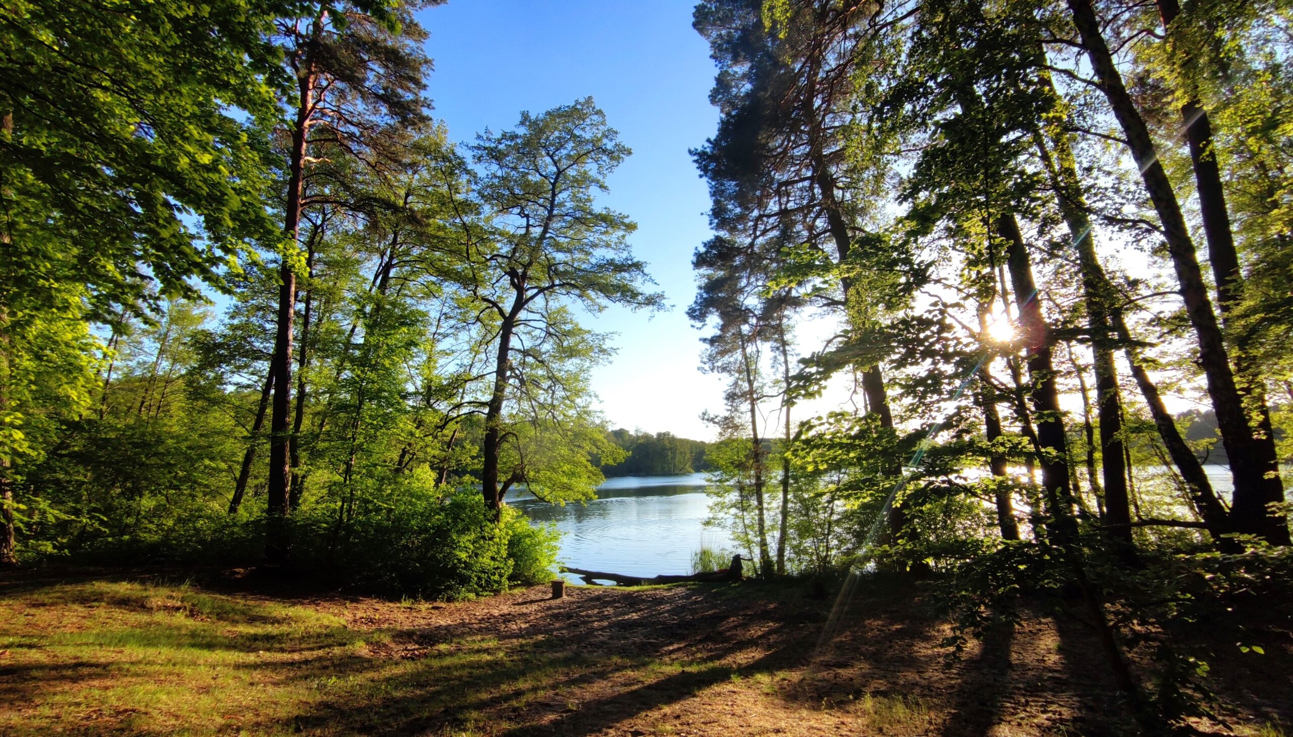 IMG_20250328_155800kop